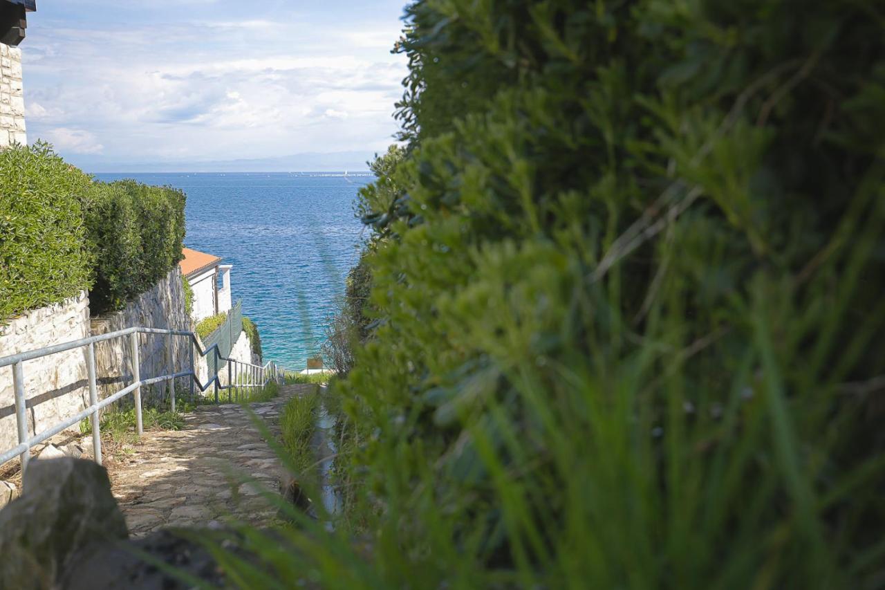 Apartments Villa Sofia Crveni Vrh Luaran gambar